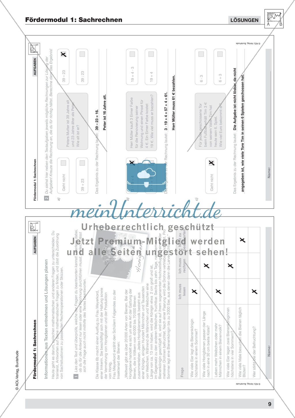 Sachrechnen: Informationen aus Texten entnehmen und Lösungen planen Preview 5