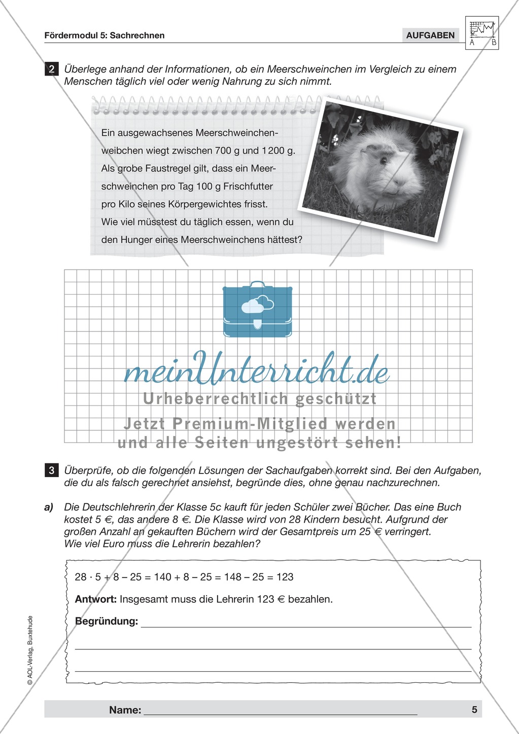 Strategien zur Informationsentnahme bei Sachaufgaben und einfache kombinatorische Übungsaufgaben Preview 3