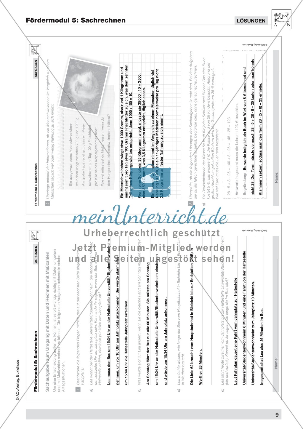 Strategien zur Informationsentnahme bei Sachaufgaben und einfache kombinatorische Übungsaufgaben Preview 7