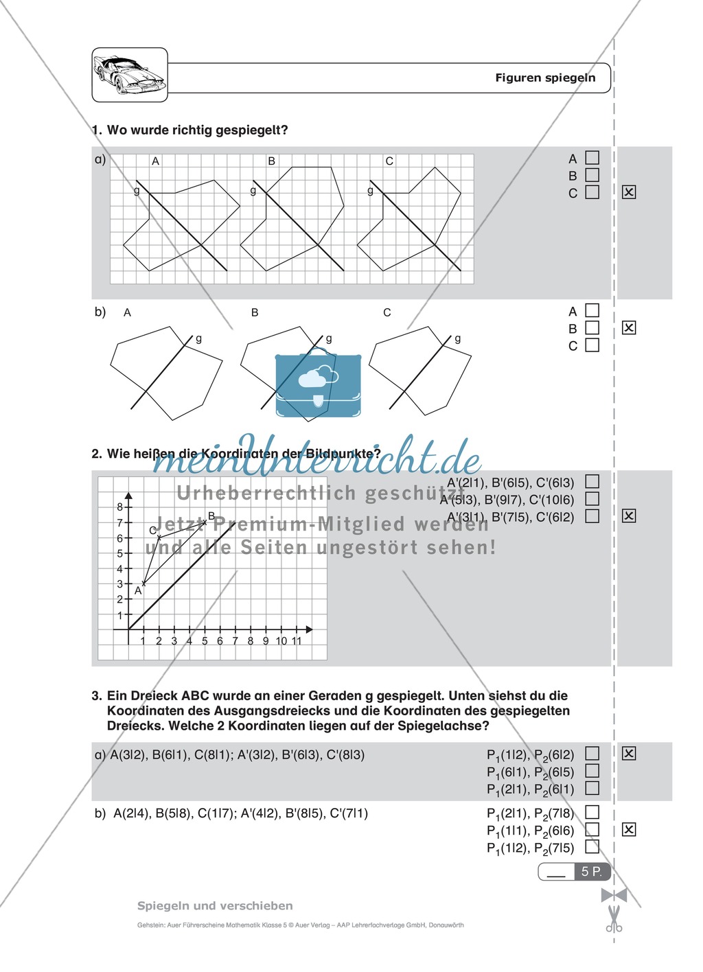 Schnelltest zur Erfassung des Lernstands im Bereich Spiegelung, Mathematik-Führerschein mit Selbstkontrolle Preview 4