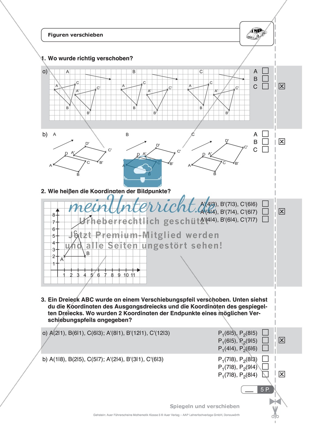 Schnelltest zur Erfassung des Lernstands im Bereich Spiegelung, Mathematik-Führerschein mit Selbstkontrolle Preview 5