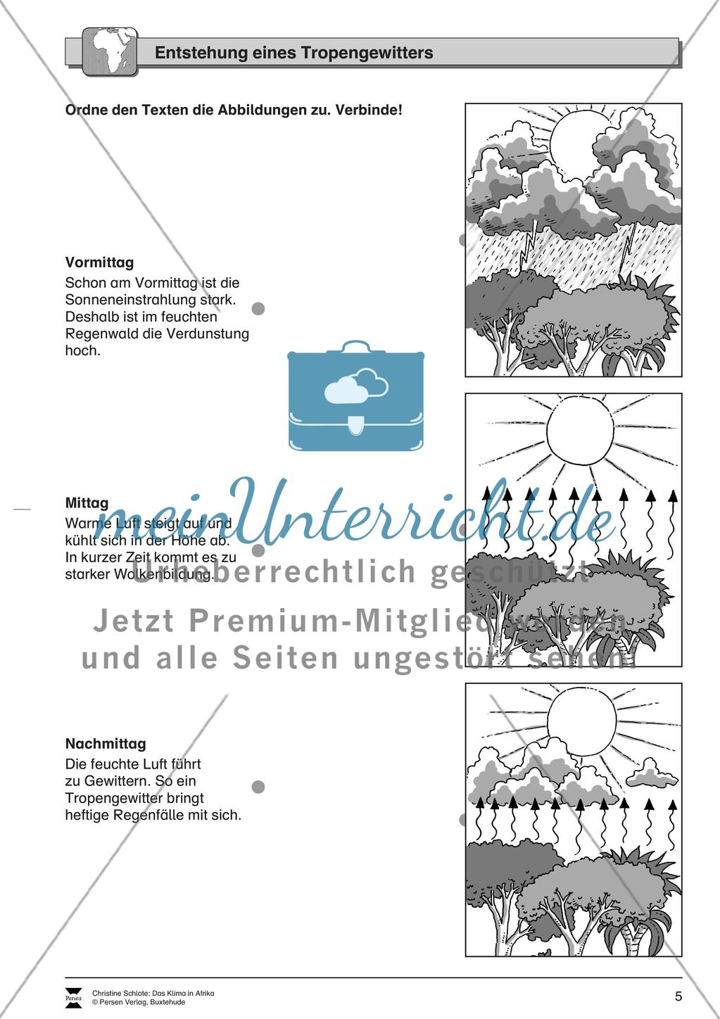 Das Klima in Afrika: Klimazonen + Klimadiagramme + Vegetation Preview 5