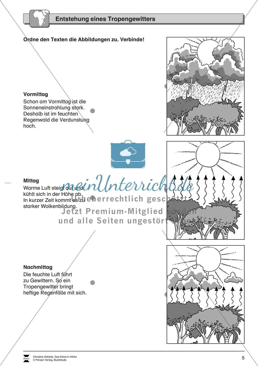 Das Klima in Afrika: Klimazonen + Klimadiagramme + Vegetation Preview 5