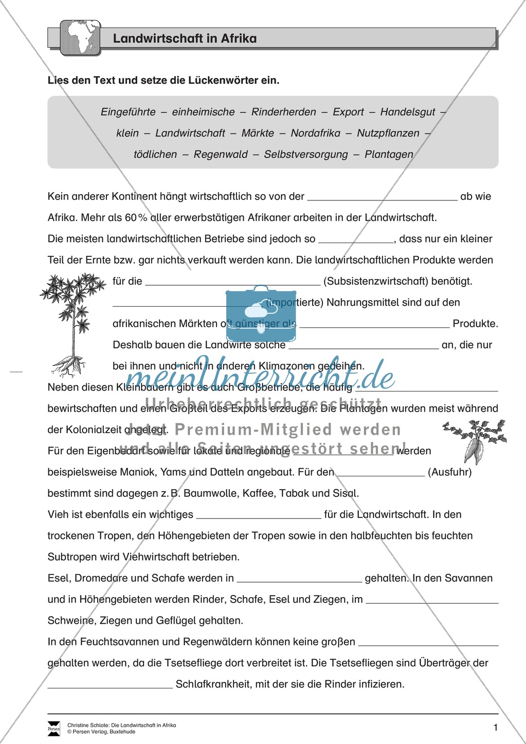 Die Landwirtschaft in Afrika: Landwirtschaft + Nutzpflanzen Preview 1