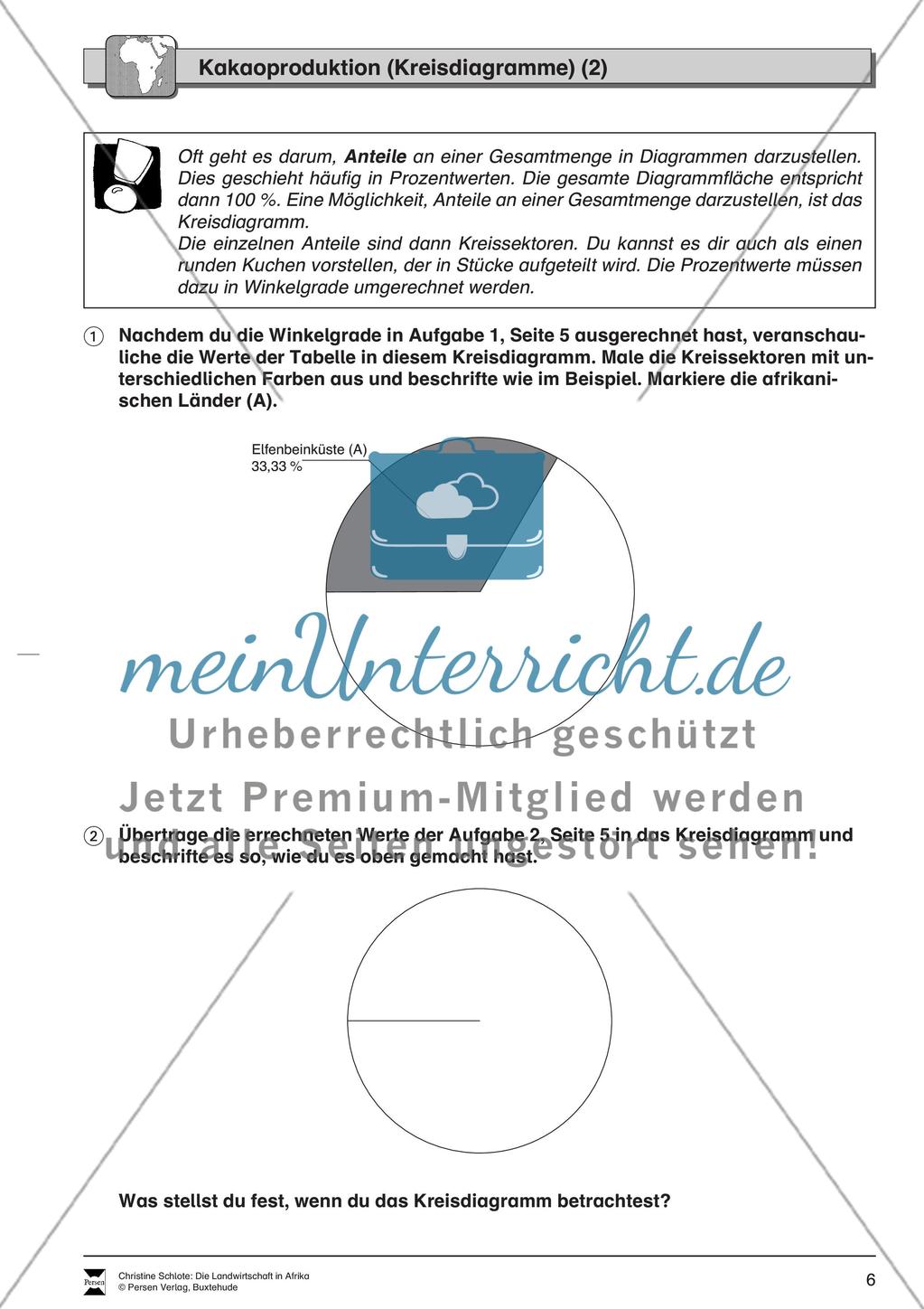 Die Landwirtschaft in Afrika: Kakaoproduktion Preview 2