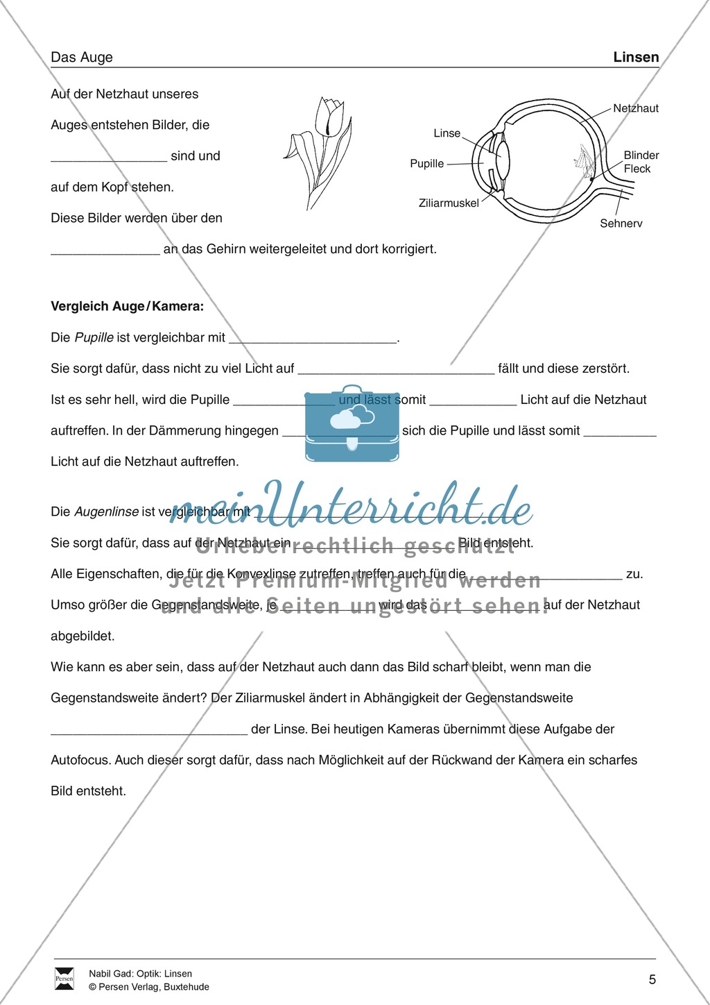Optik - Bilderzeugung bei der Sammellinse: Vorlage Versuchsprotokoll + Aufgaben + Lösungen Preview 5
