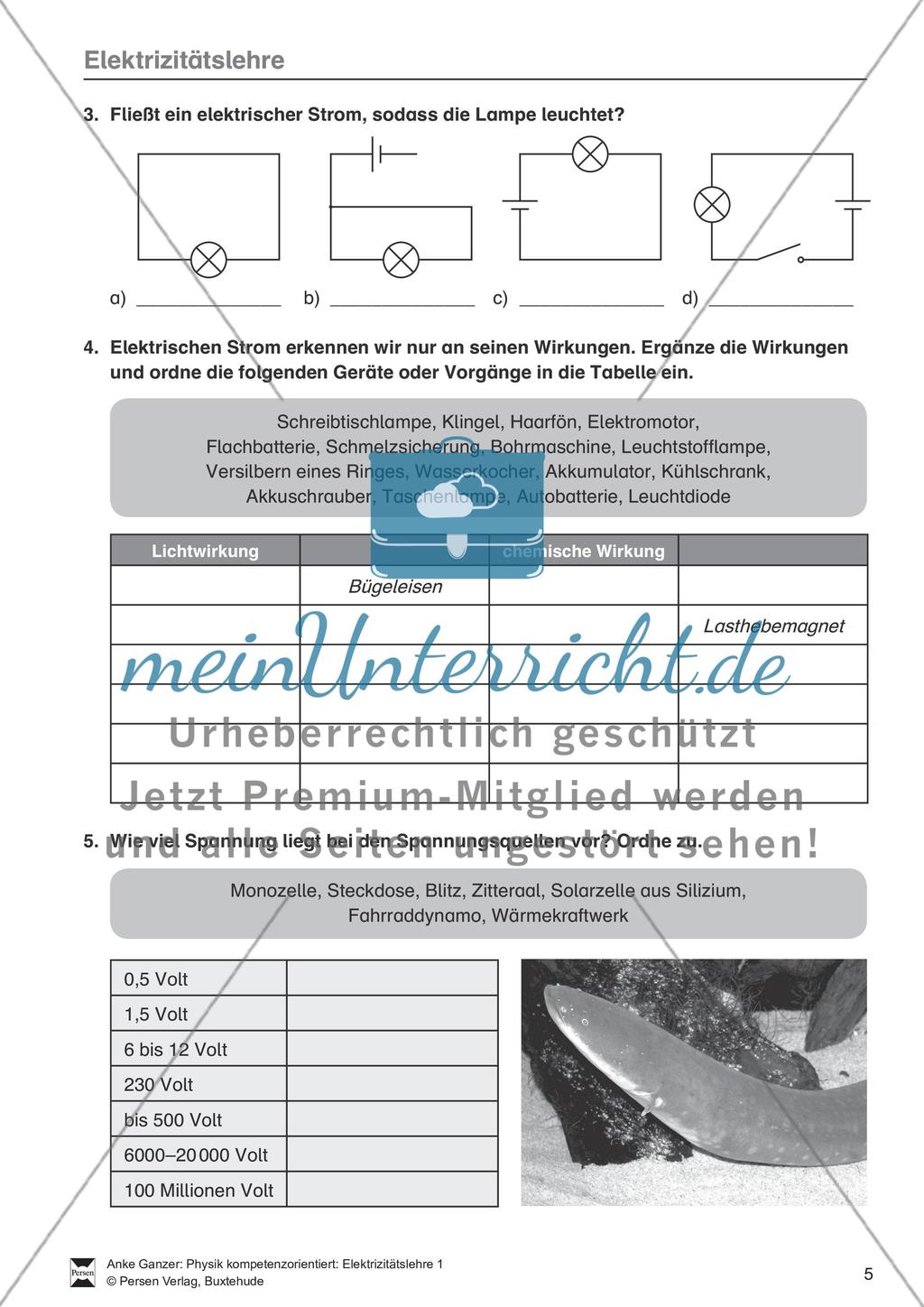 Elektrizitätslehre: Grundlagen des elektrischen Stroms, Stromkreise, elektrischer Strom in Natur und Umwelt. Mit Aufgaben und Lösungen. Preview 2