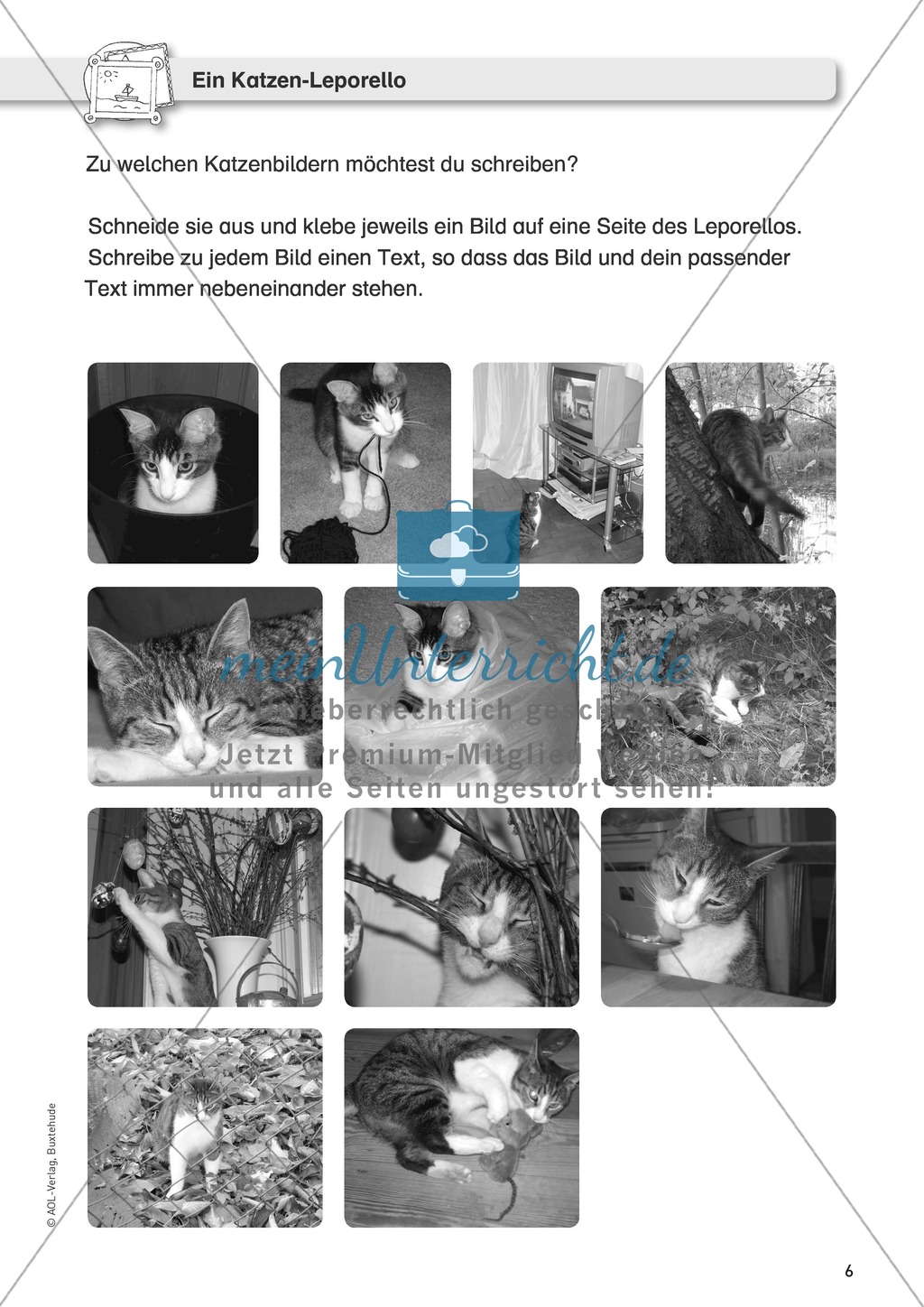 Fotos als Schreibanlass: ein Katzen-Leporello basteln Preview 1