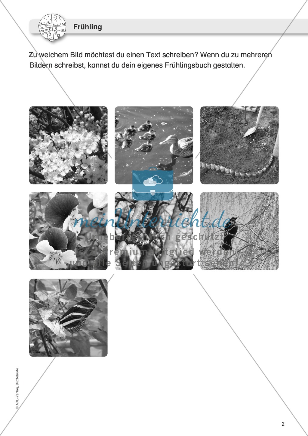 Jahreszeitliche Schreibanlässe: Frühling - Bilder + Vogelnamen Preview 1