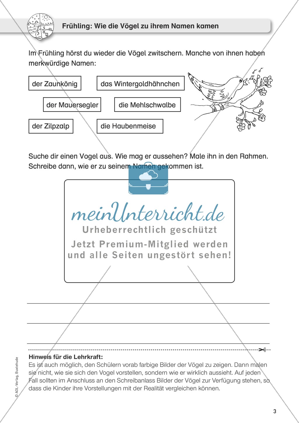 Jahreszeitliche Schreibanlässe: Frühling - Bilder + Vogelnamen Preview 2