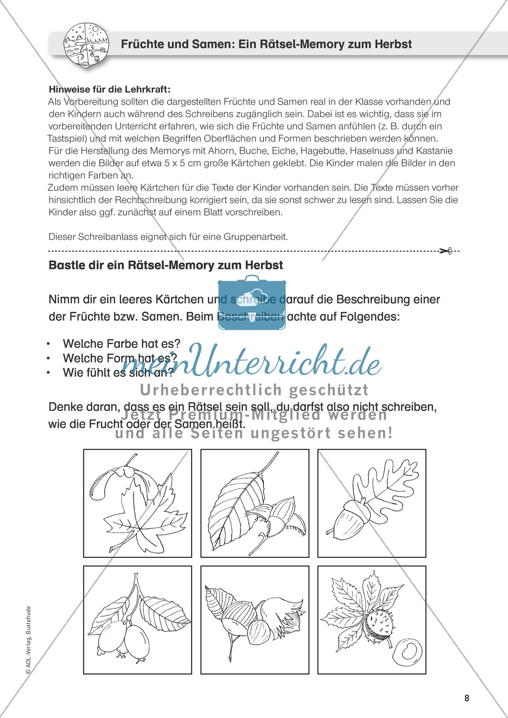 Jahreszeitliche Schreibanlässe: Herbst: Memory, Früchte + Samen Preview 2