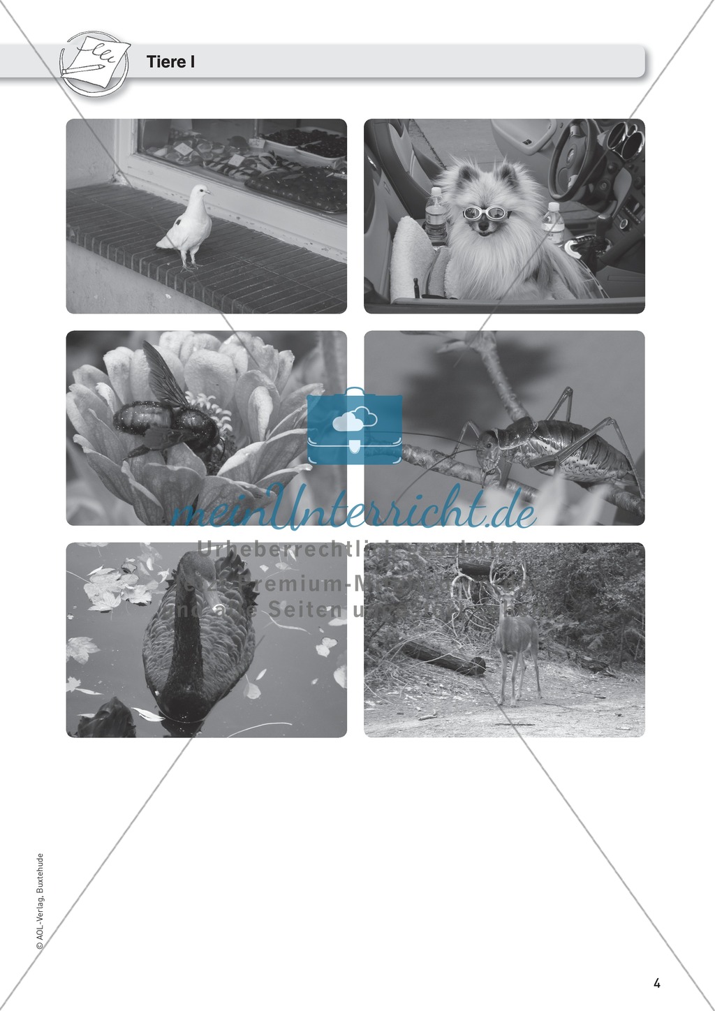 Fotos, Anregungen zum Schreiben Preview 1