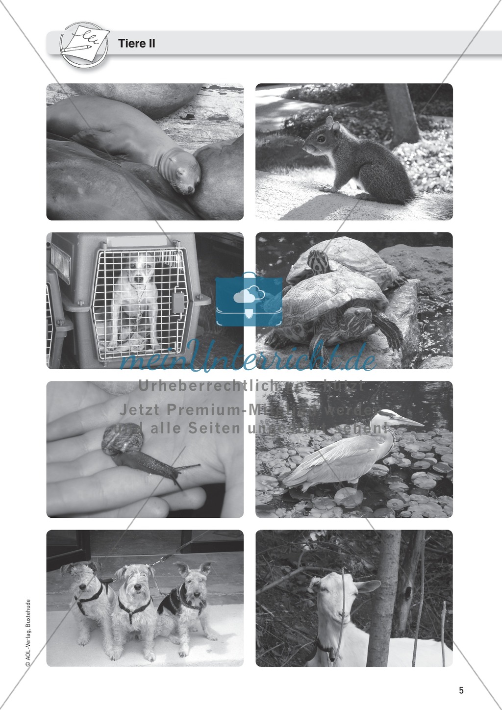 Fotos, Anregungen zum Schreiben Preview 2