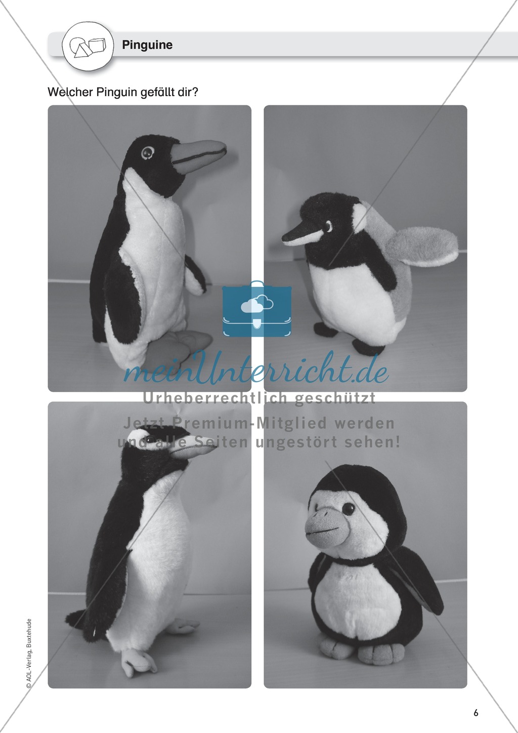 Gegenstandbeschreibung als Schreibanlass: Einen Pinguin beschreiben Preview 1