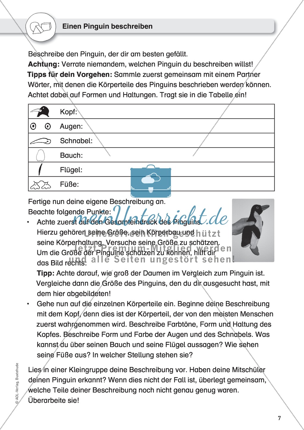 Gegenstandbeschreibung als Schreibanlass: Einen Pinguin beschreiben Preview 2