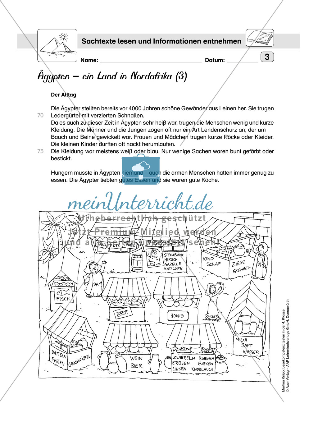 Lesekompetenz testen: Sachtexte erschließen und Informationen entnehmen. Lesekompetenzstufe 4. Preview 3
