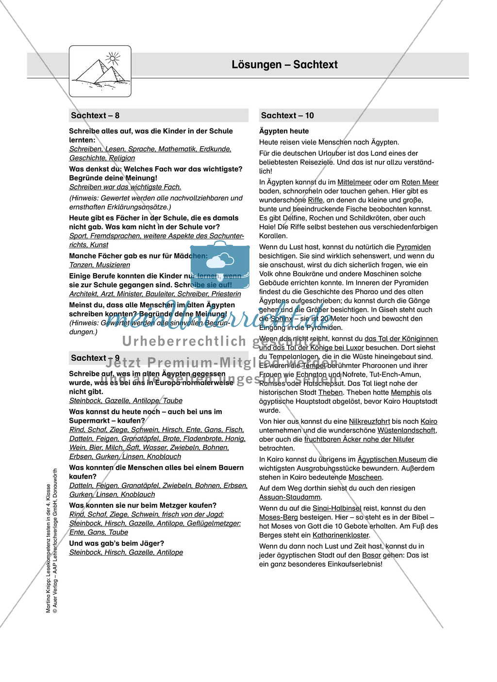 Lesekompetenz testen: Sachtexte erschließen und Informationen entnehmen. Lesekompetenzstufe 4. Preview 8