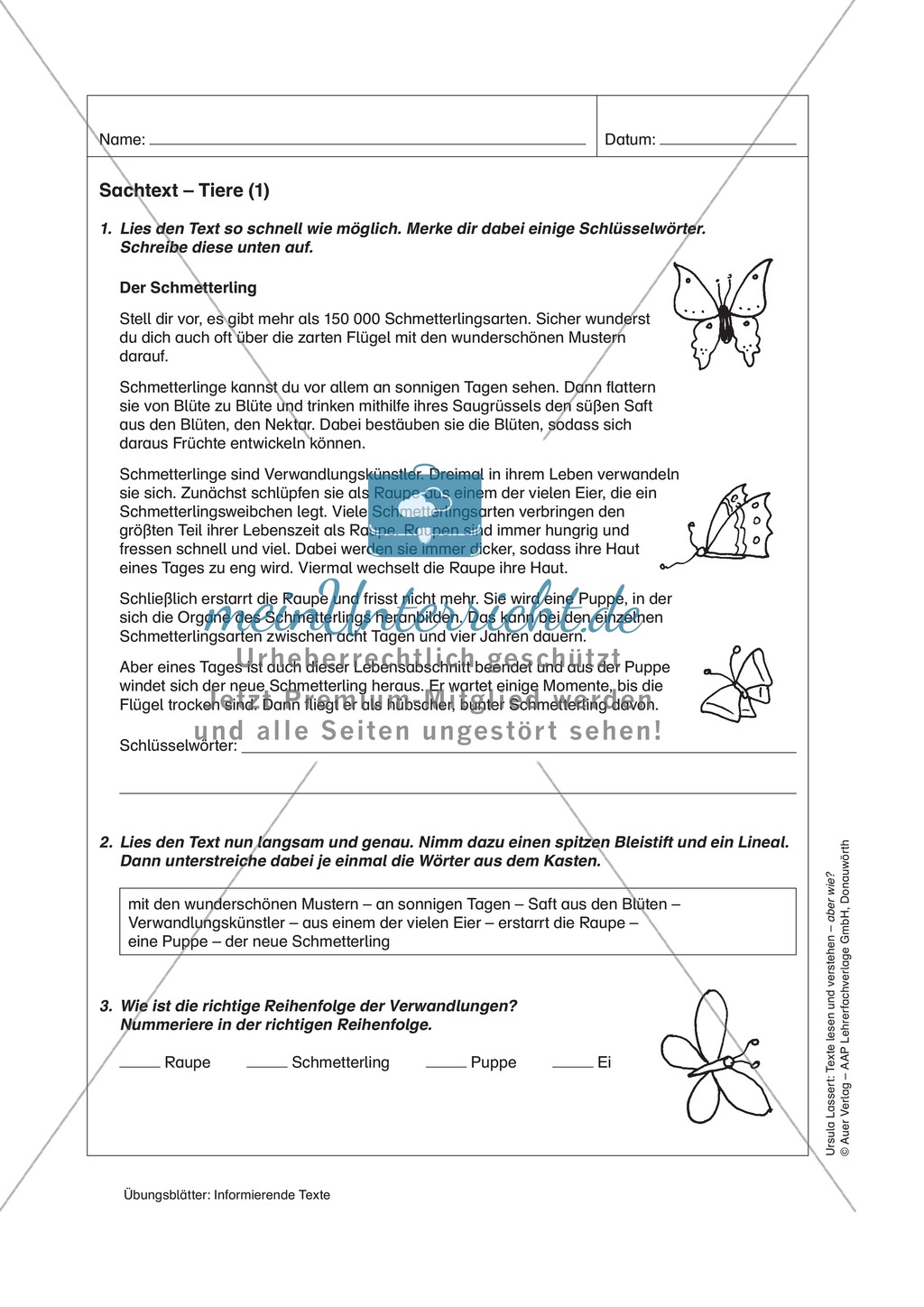 Informierende Texte lesen und verstehen: Einen Sachtext über Tiere erschließen Preview 1