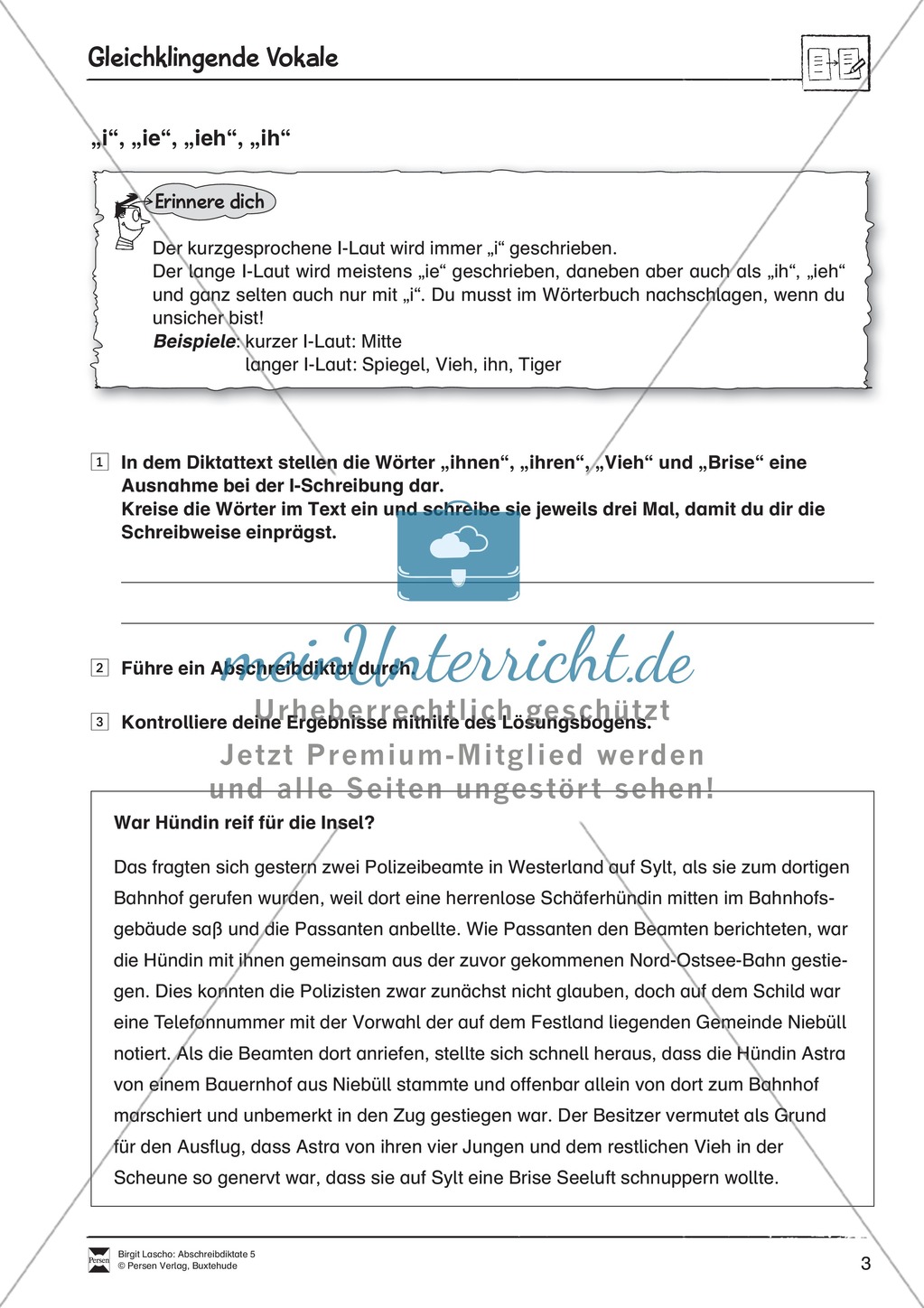 Abschreibdiktate: Gleichklingende Vokale - Wortlücken Preview 3