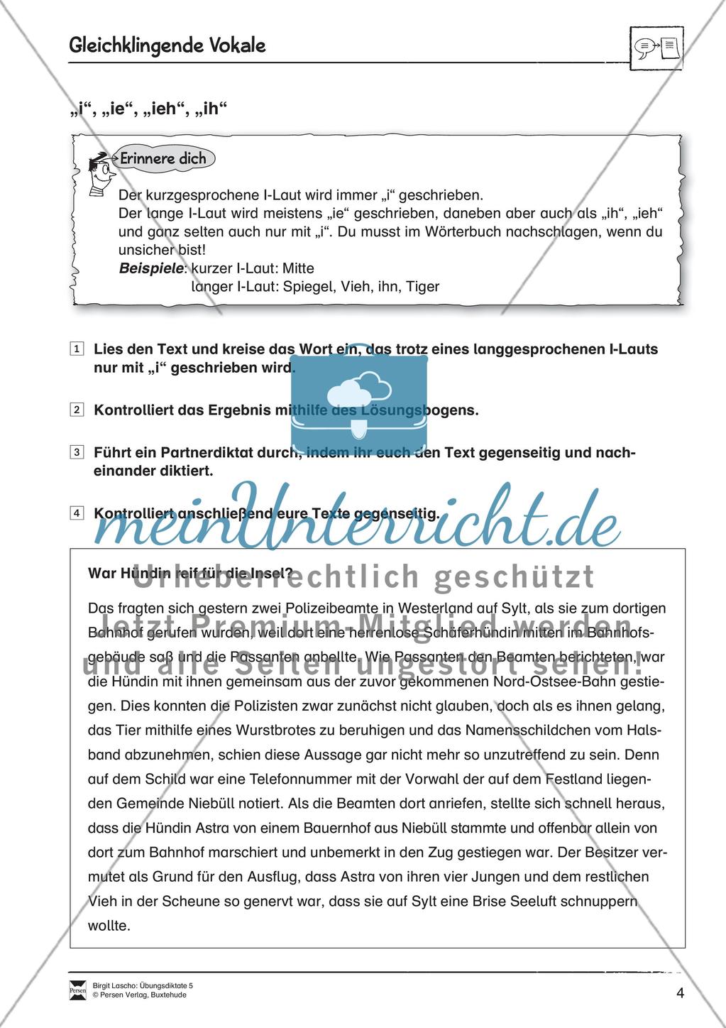 Übungsdiktate: Gleichklingende Vokale Preview 4