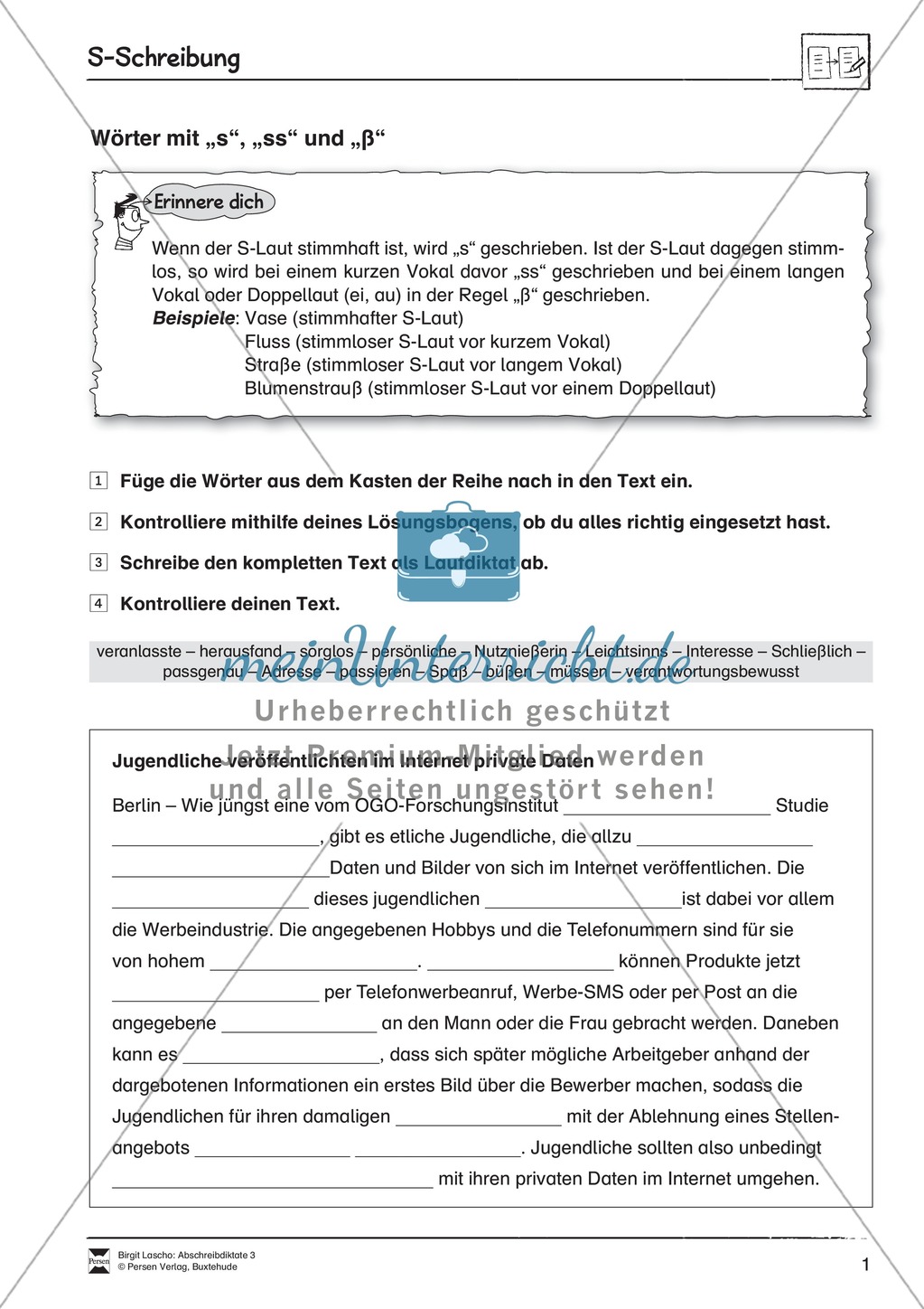 Abschreibdiktate: S-Schreibung Preview 1
