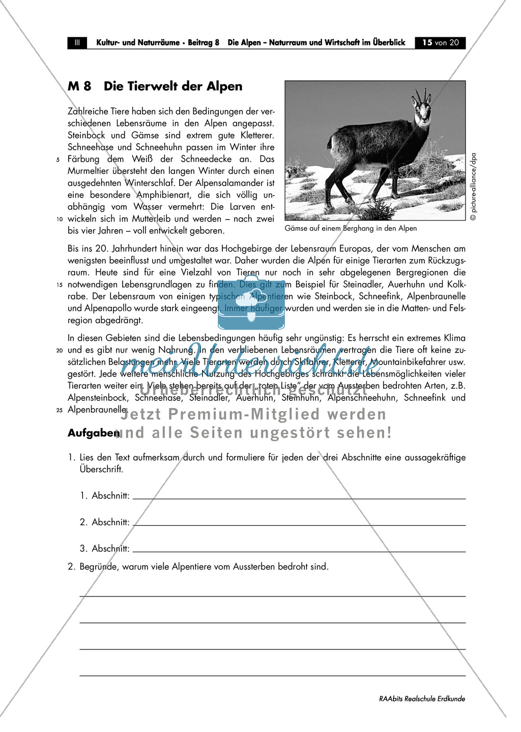 Naturraum + Wirtschaft der Alpen: Pflanzenwachstum im Hochgebirge + Tierwelt Preview 2