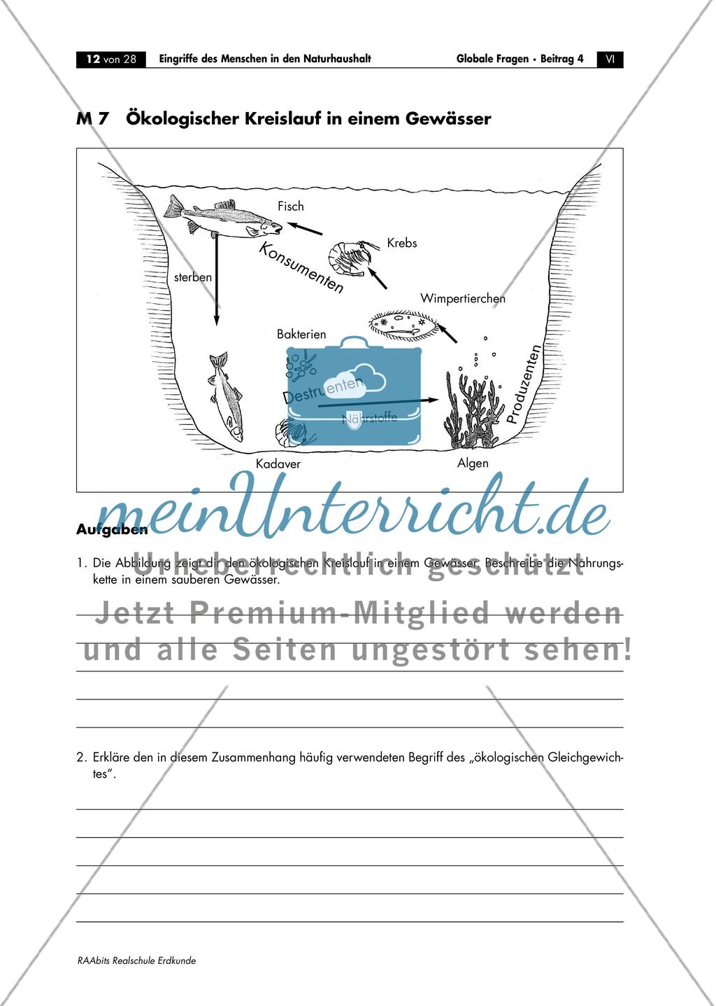 Ökologischer Kreislauf in einem Gewässer Preview 1