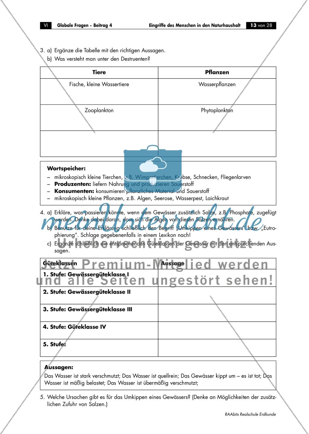 Ökologischer Kreislauf in einem Gewässer Preview 2