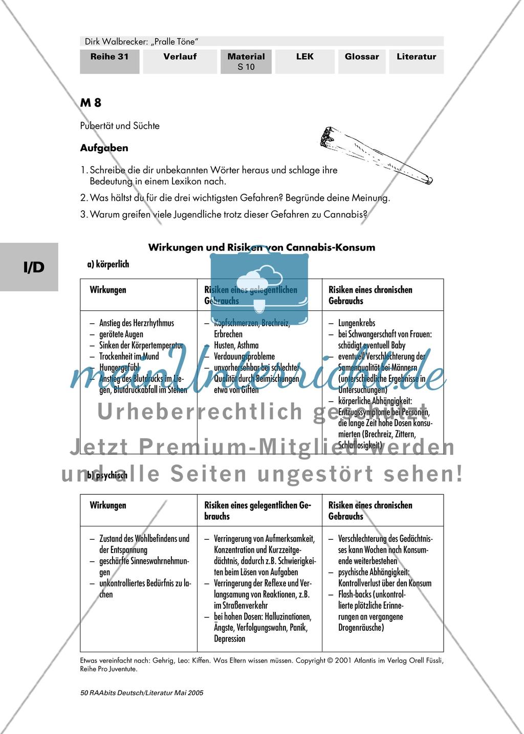 Pubertät und Süchte / Wege aus der Sucht Preview 3