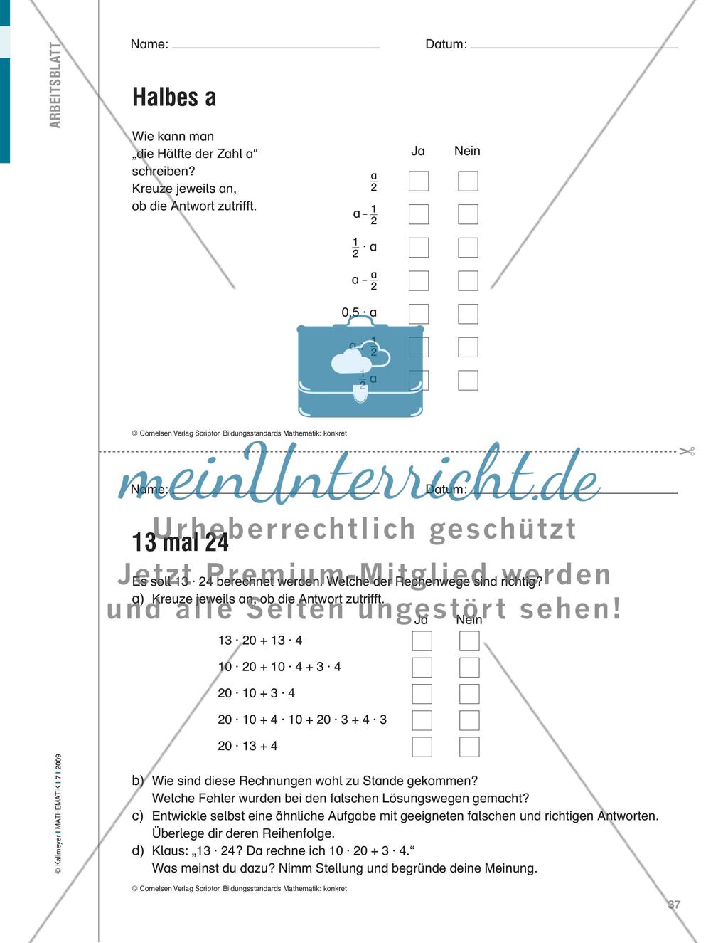 Richtig oder falsch? Preview 2