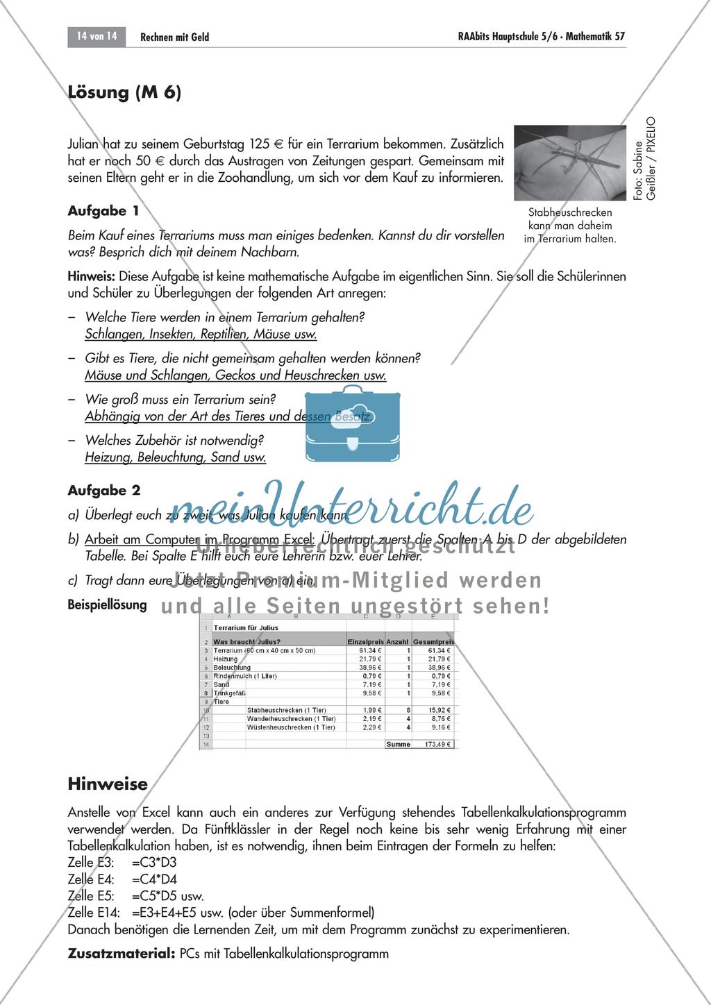 Rechnen mit Geld - Sachaufgaben mit Lösungen. Preview 4