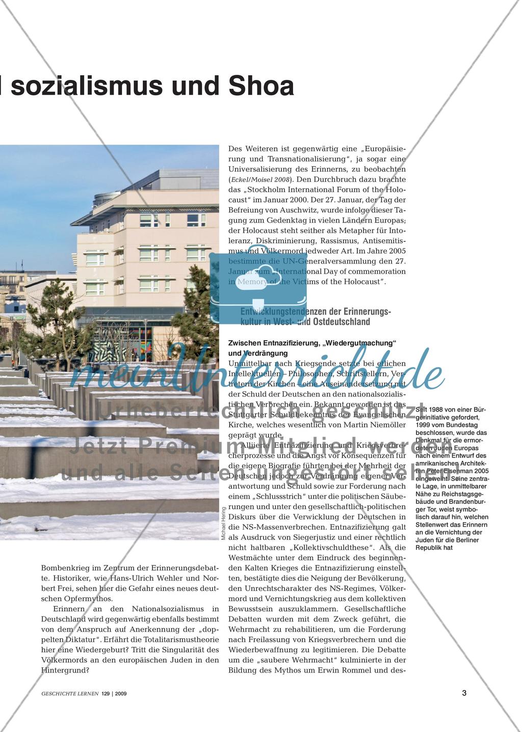 Fachdidaktik und Fachwissenschaft: Erinnern an Nationalsozialismus und Shoa Preview 2