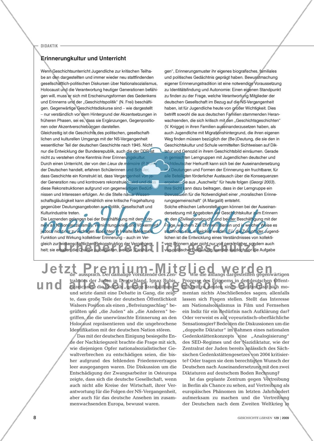 Fachdidaktik und Fachwissenschaft: Erinnern an Nationalsozialismus und Shoa Preview 7