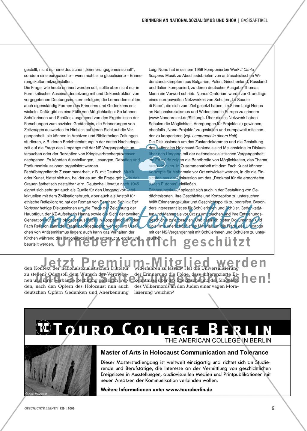 Fachdidaktik und Fachwissenschaft: Erinnern an Nationalsozialismus und Shoa Preview 8