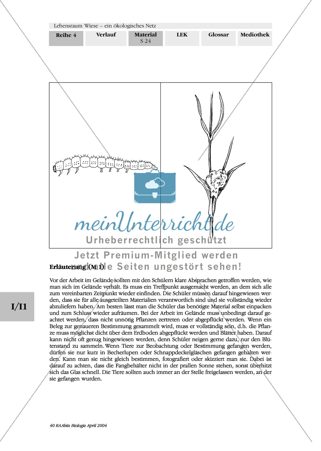 Lebensraum Wiese: Suchaufgaben zum Kennenlernen der Wiese Preview 4