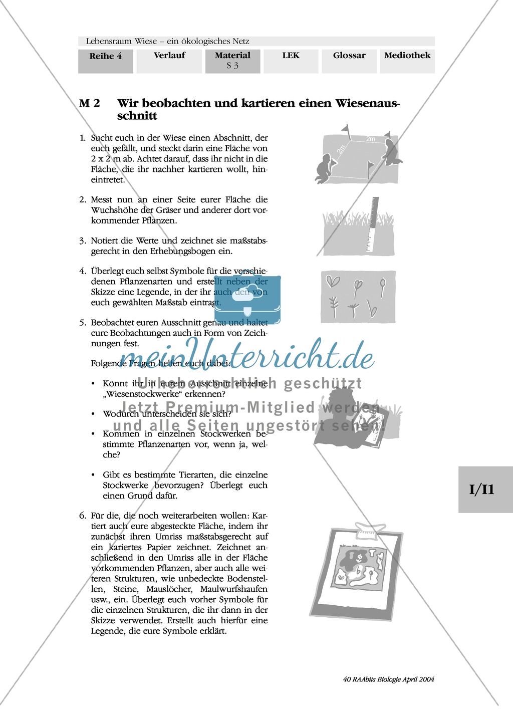 Lebensraum Wiese: Beobachten und Kartieren eines Wiesenausschnitts Preview 2