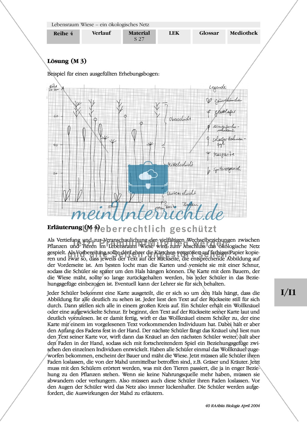 Lebensraum Wiese: Beobachten und Kartieren eines Wiesenausschnitts Preview 5