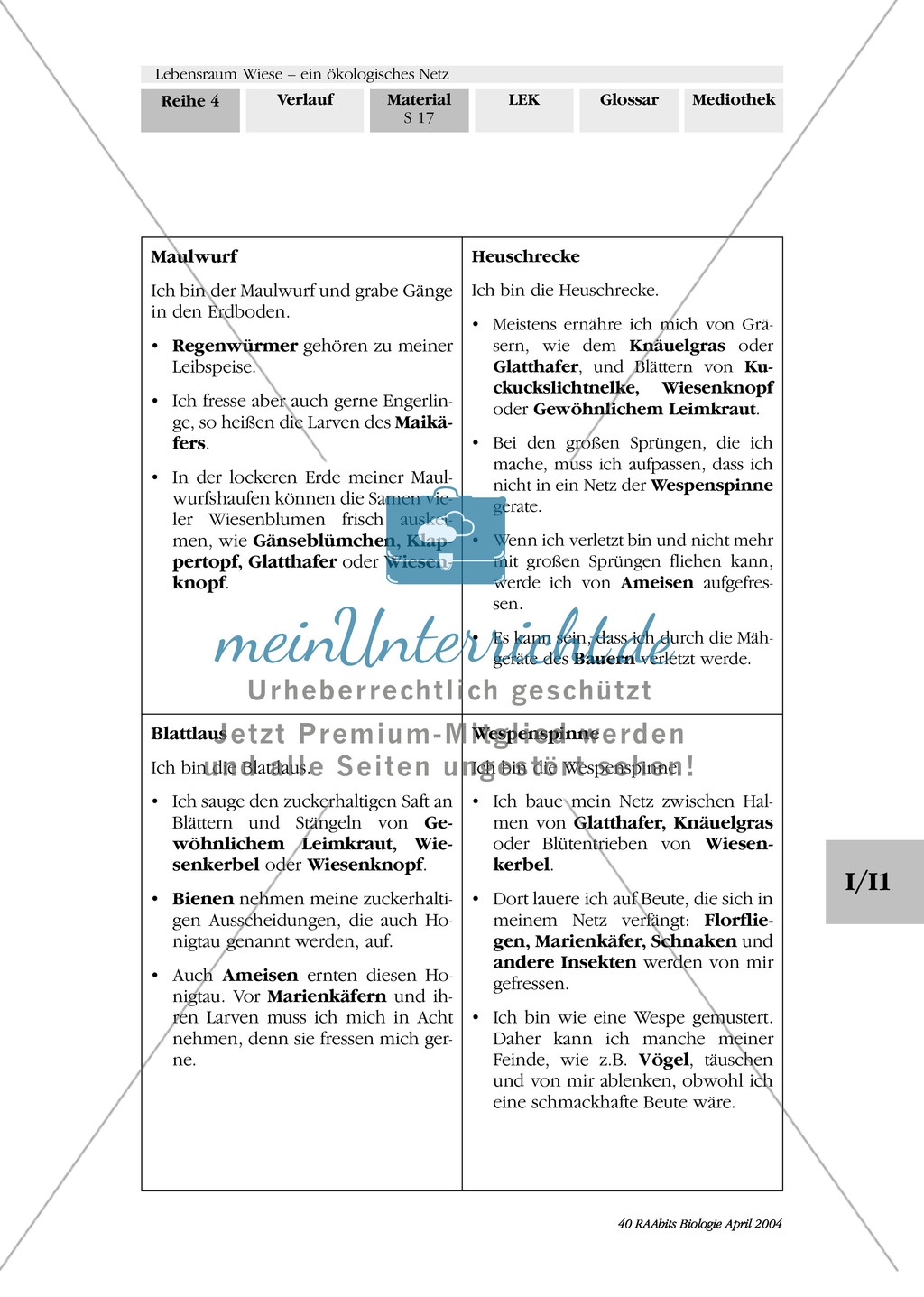 Lebensraum Wiese: Das ökologische Netz einer Wiese - Text- und Bildkarten Preview 14
