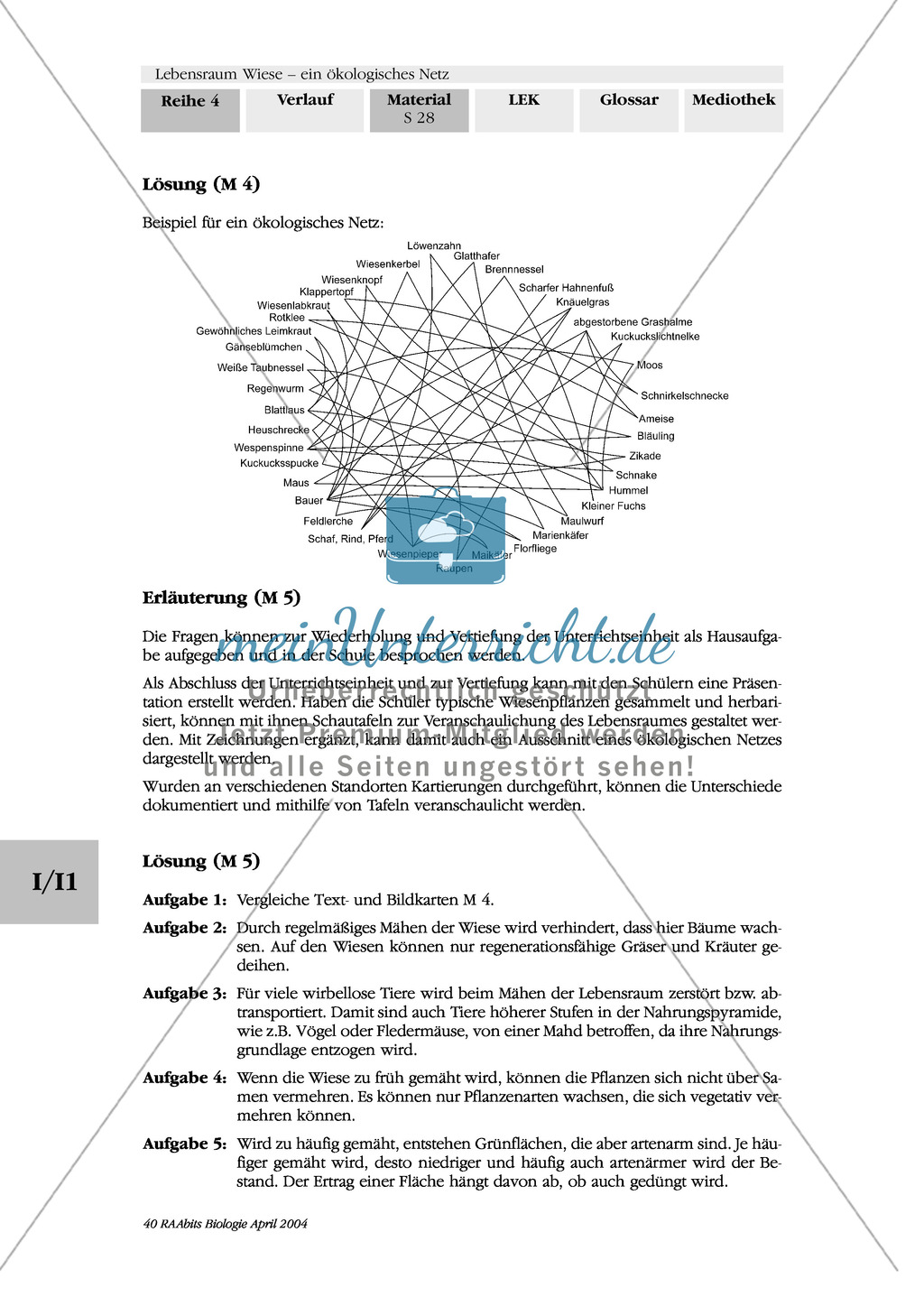 Lebensraum Wiese: Das ökologische Netz einer Wiese - Text- und Bildkarten Preview 22