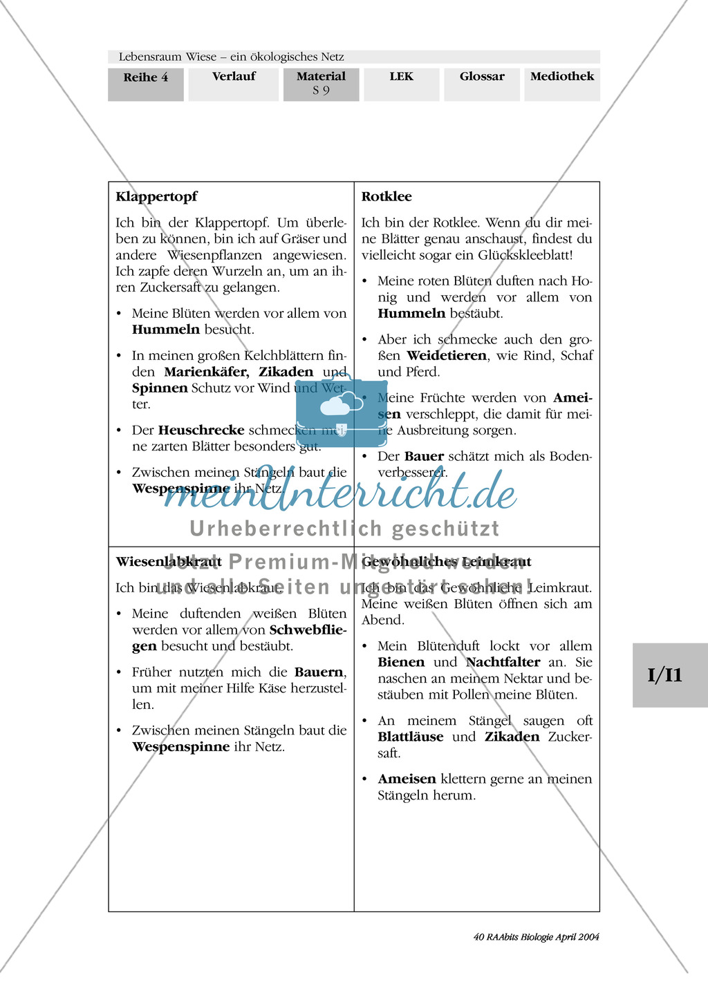 Lebensraum Wiese: Das ökologische Netz einer Wiese - Text- und Bildkarten Preview 6