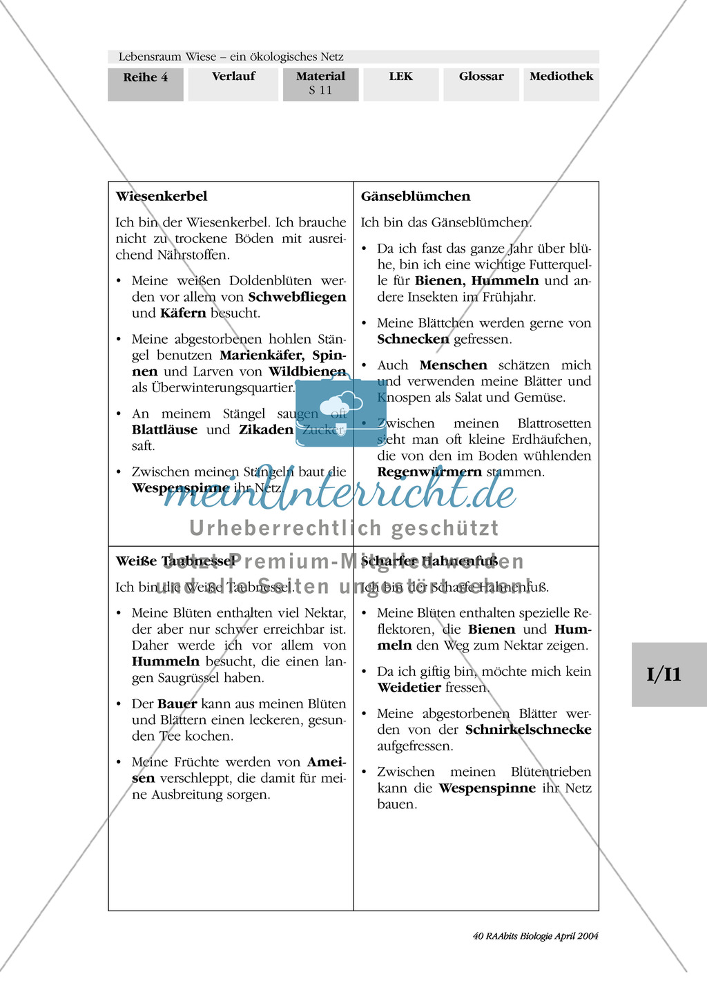 Lebensraum Wiese: Das ökologische Netz einer Wiese - Text- und Bildkarten Preview 8