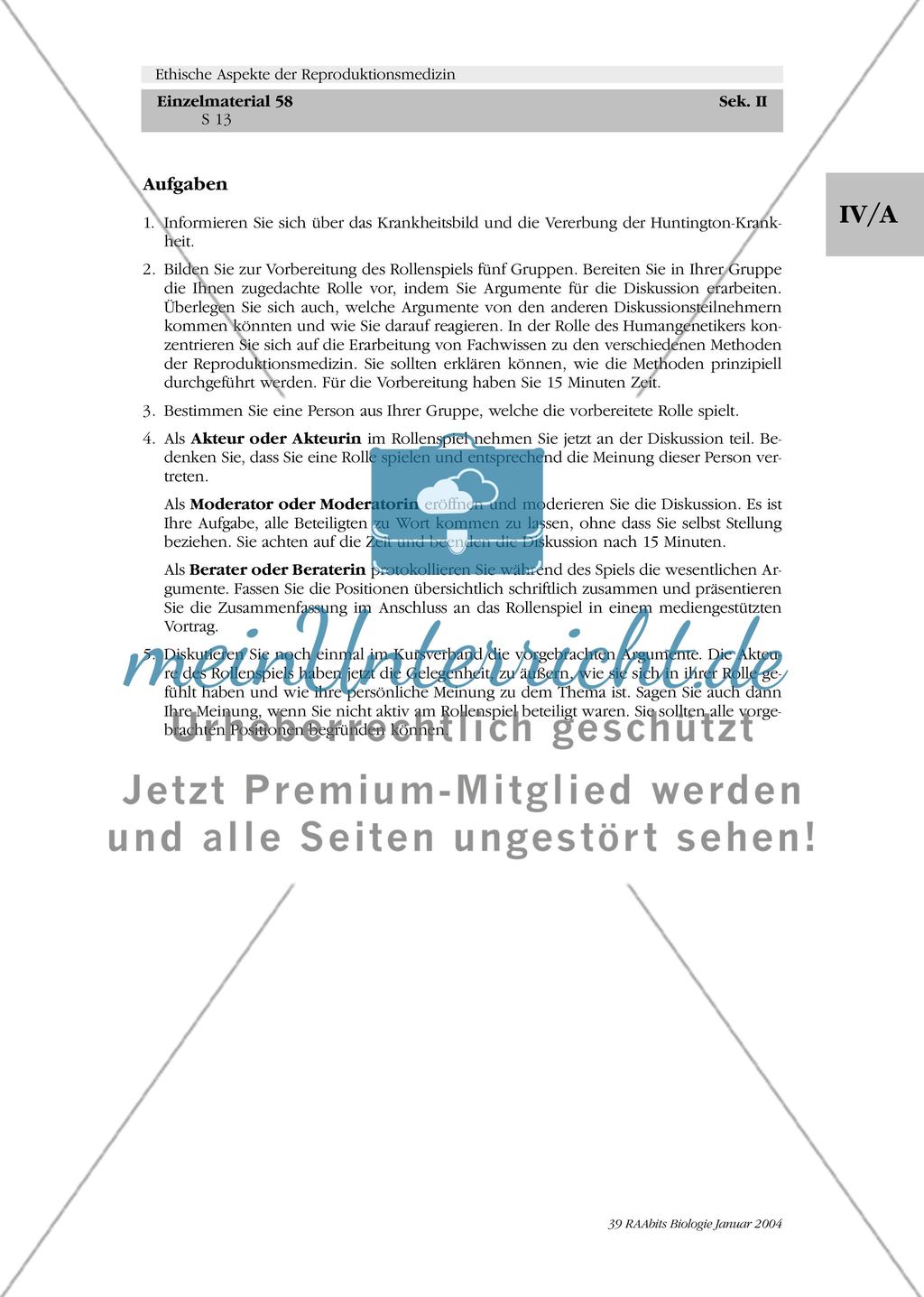 Ein Rollenspiel Preview 3