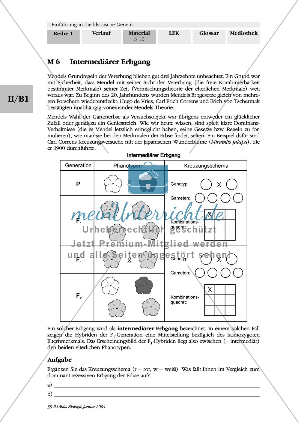 Klassische Genetik: Mendel`sche Regeln - Begriffe, Regeln, Kodominanz Preview 8