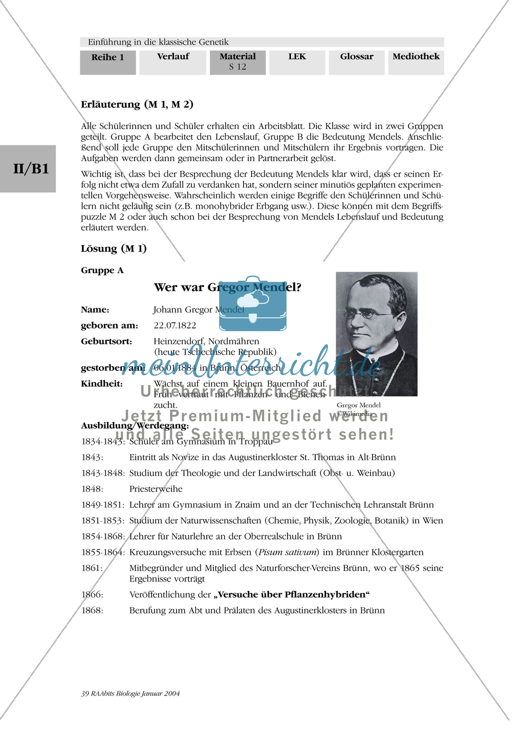 Klassische Genetik: Mendel`sche Regeln - Begriffe, Regeln, Kodominanz Preview 9