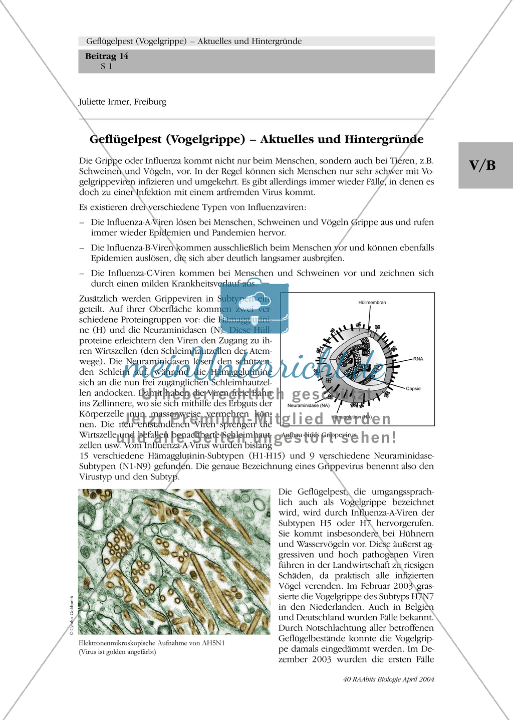 Entstehung einer möglichen Supergrippe am Beispiel der Vogelgrippe Preview 1