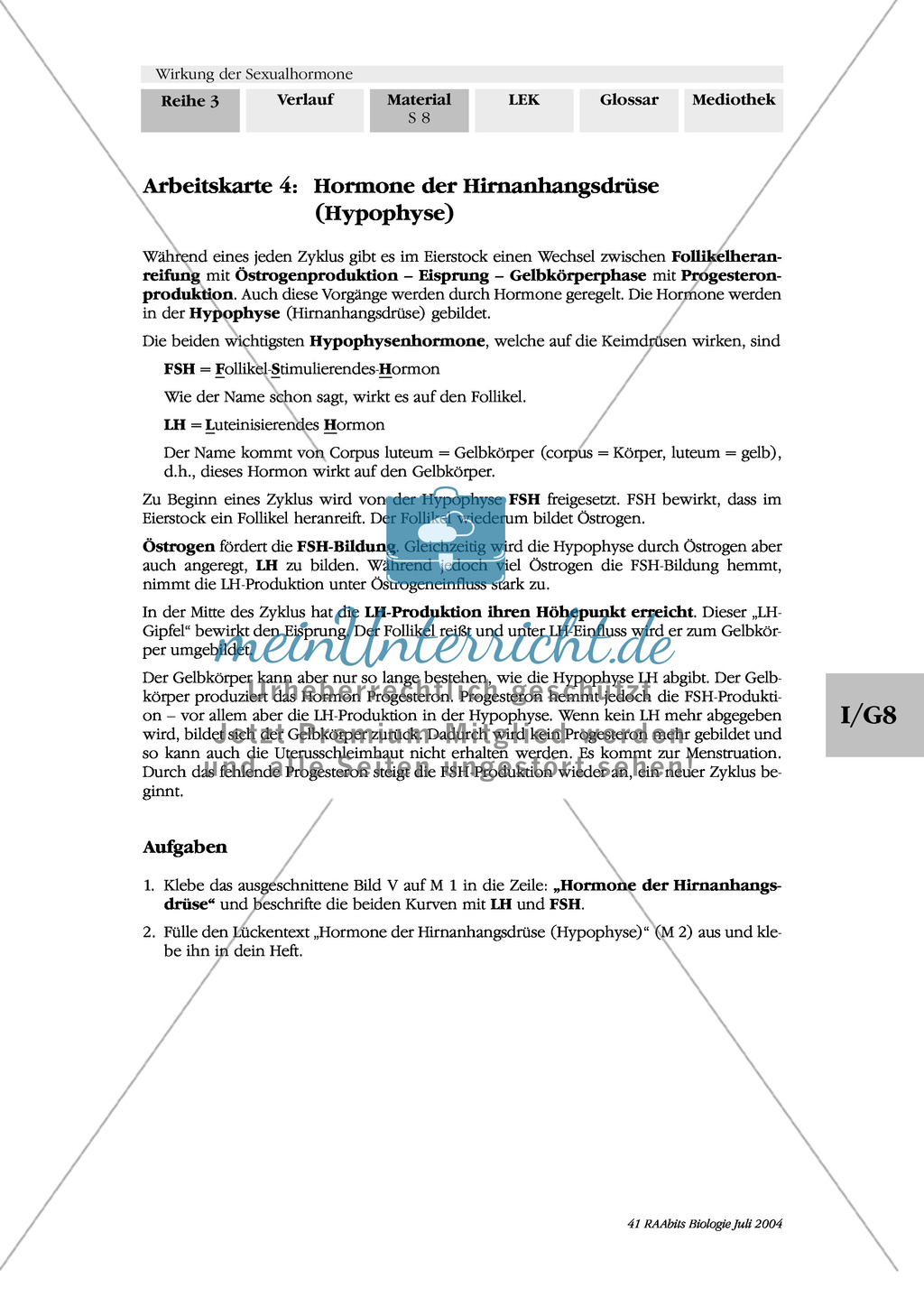 Wirkung der Sexualhormone: Hormone der Hirnanhangsdrüse (Hypophyse) + des Zwischenhirns (Hypothalamus) Preview 4