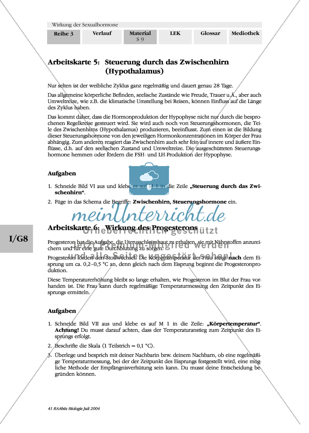Wirkung der Sexualhormone: Hormone der Hirnanhangsdrüse (Hypophyse) + des Zwischenhirns (Hypothalamus) Preview 5