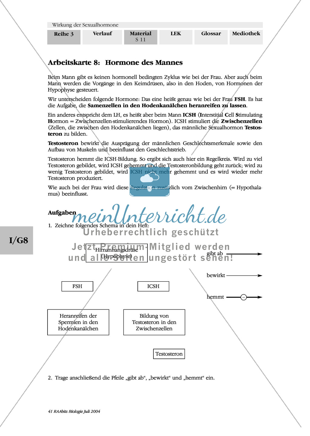 Wirkung der Sexualhormone: Progesteron + Antibabypille + männliche Hormone Preview 5