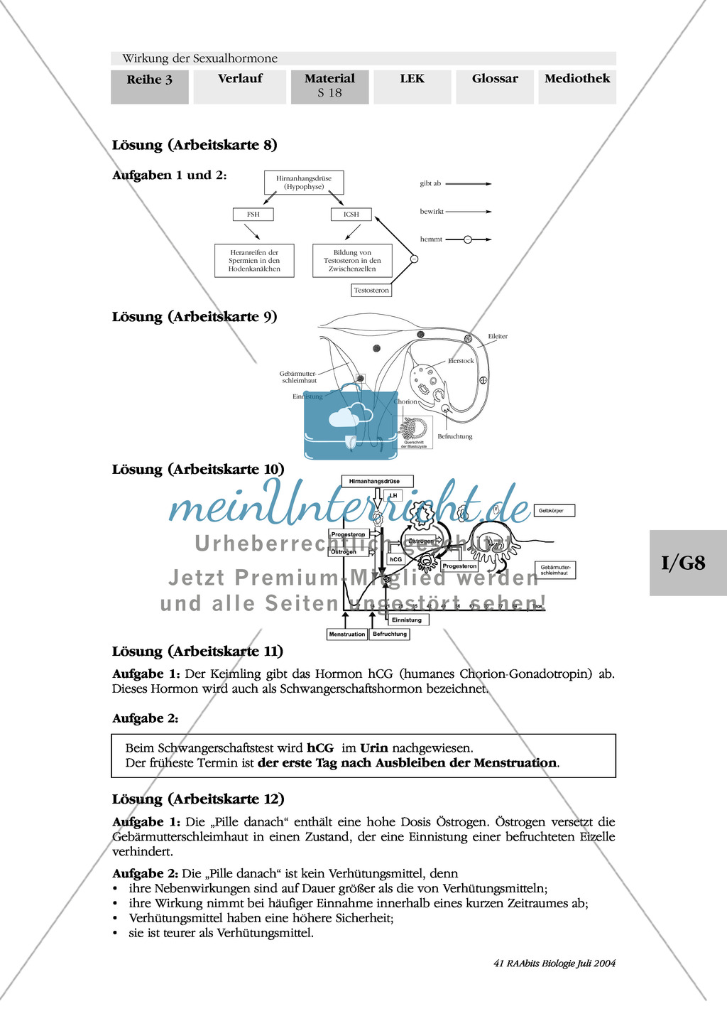 Wirkung der Sexualhormone: Progesteron + Antibabypille + männliche Hormone Preview 7