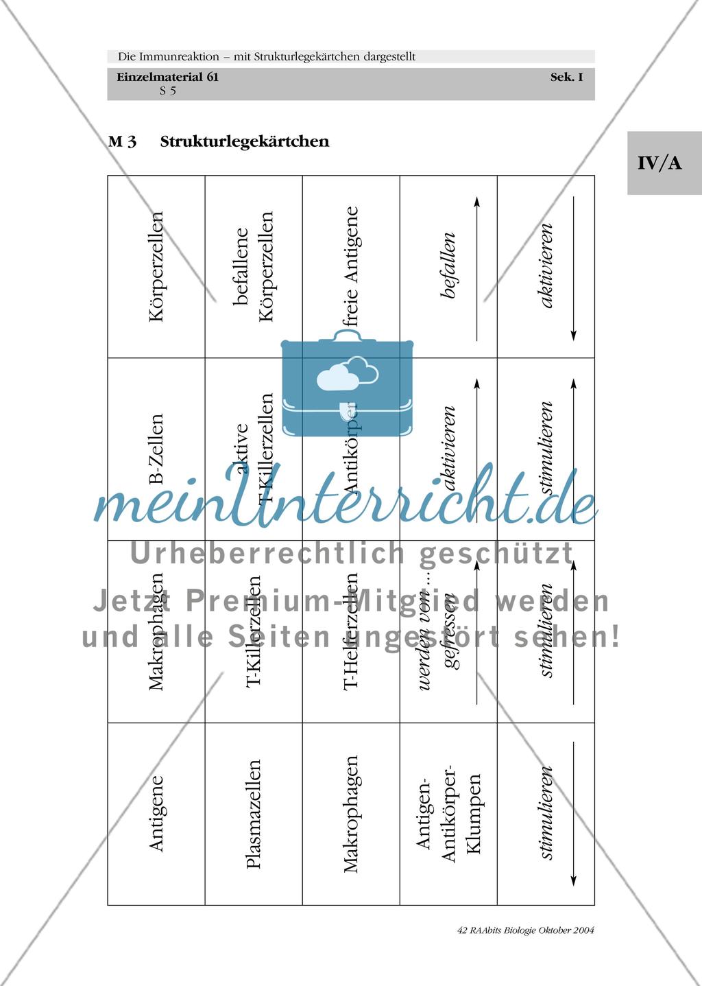 Die Immunreaktion – mit Strukturlegekärtchen dargestellt Preview 6